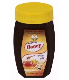 Yugrishi Honey(250 GM)