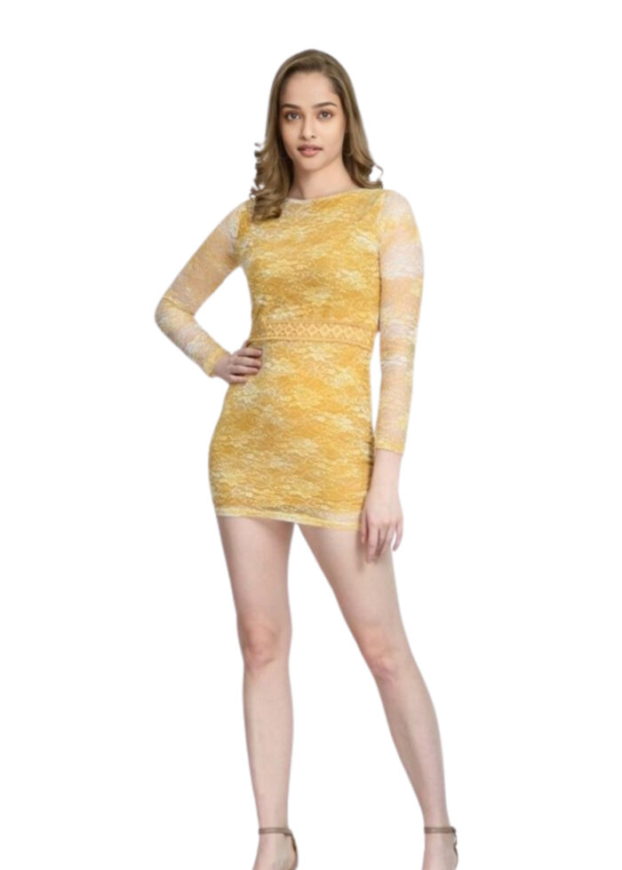 Yellow Lace Fabric Bodycone Dress From Swadeshi Zone