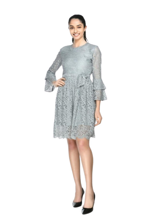 Grey Women Fit and Flare Lace Fabric Dress From Swadeshi Zone